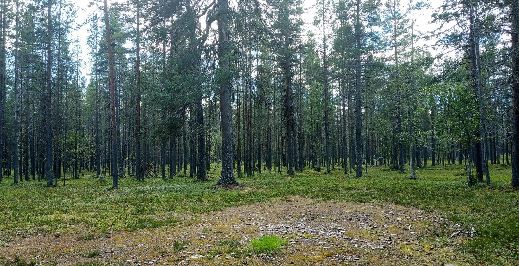 Kuukkeli Apartments Vuotso Luaran gambar